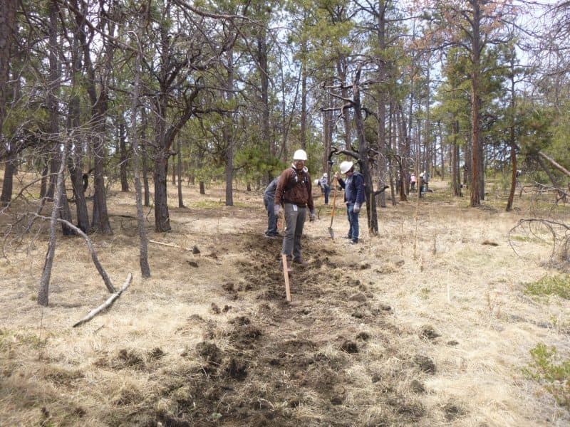 RMFI Trail Maintenance